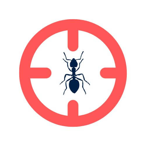 Illustration d'un viseur et d'une fourmis