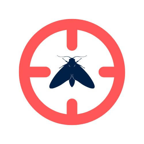 Illustration d'un viseur et d'un papillon