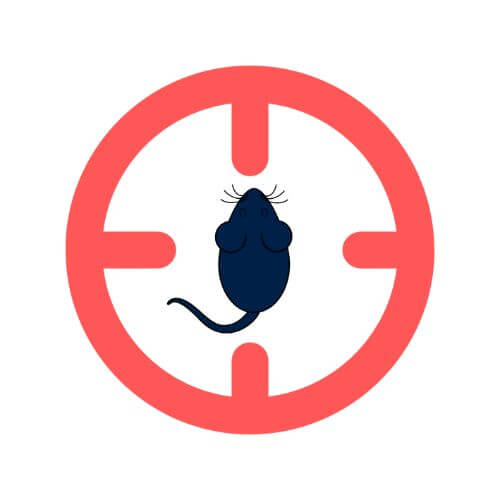 Illustration d'un viseur et d'un rat