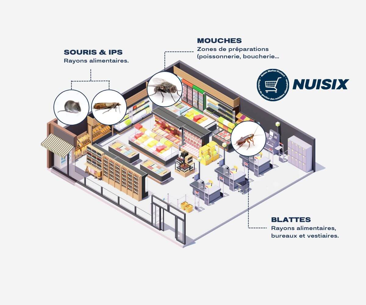 Plan intérieur d'un supermarché avec les différents nuisibles