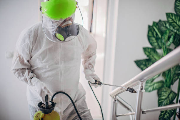 Élimination rapide et efficace des nuisibles