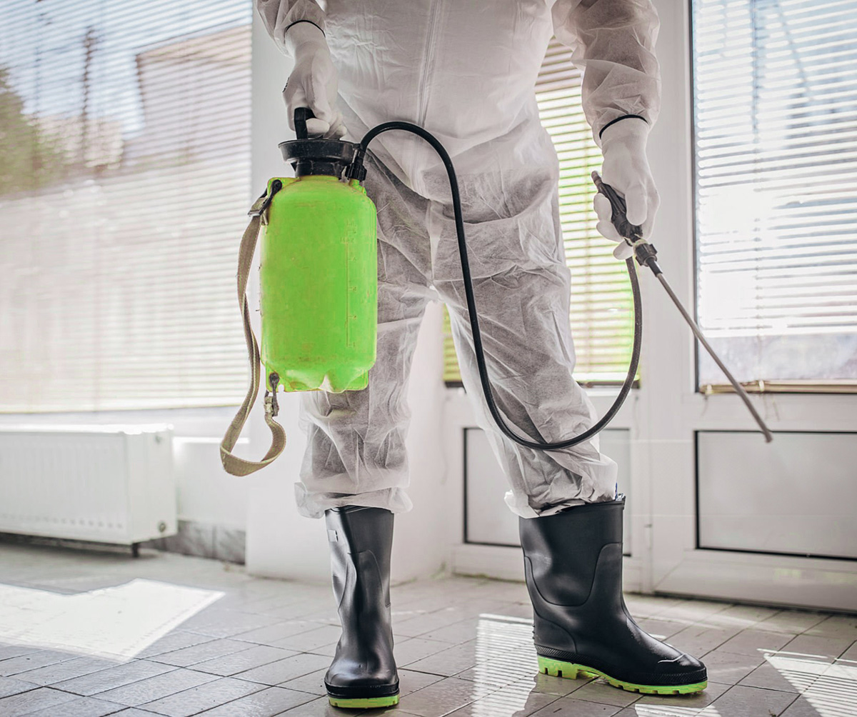 Pourquoi confier l'élimination des insectes à Nuisix ?