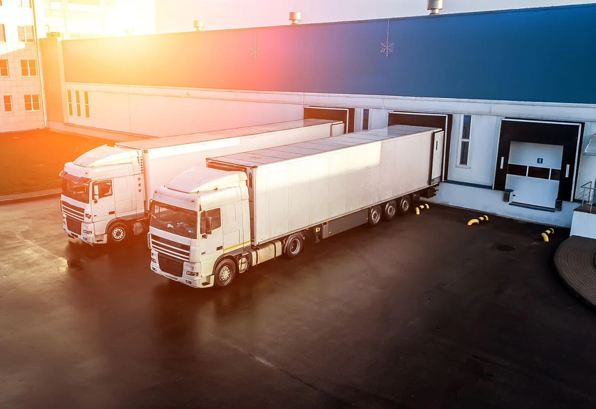 Nuisix Logistic Protect
