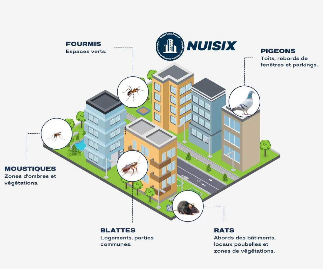 Le programme Nuisix Immo Protect